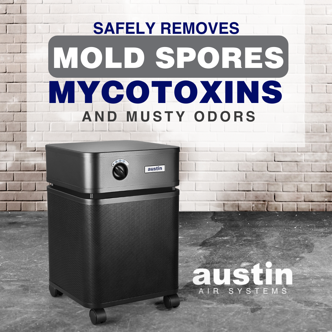 Mold Testing and Remediation Air Purification